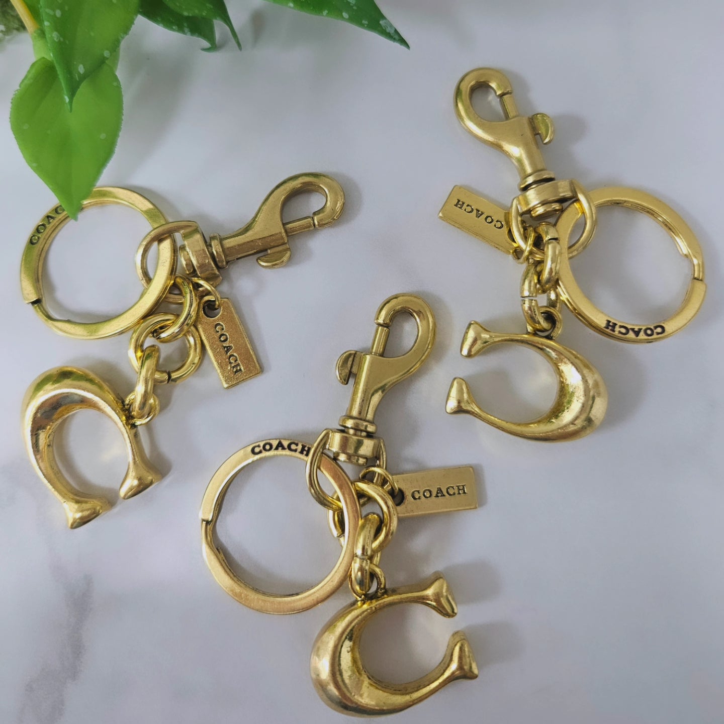 Coa - ch Keychains