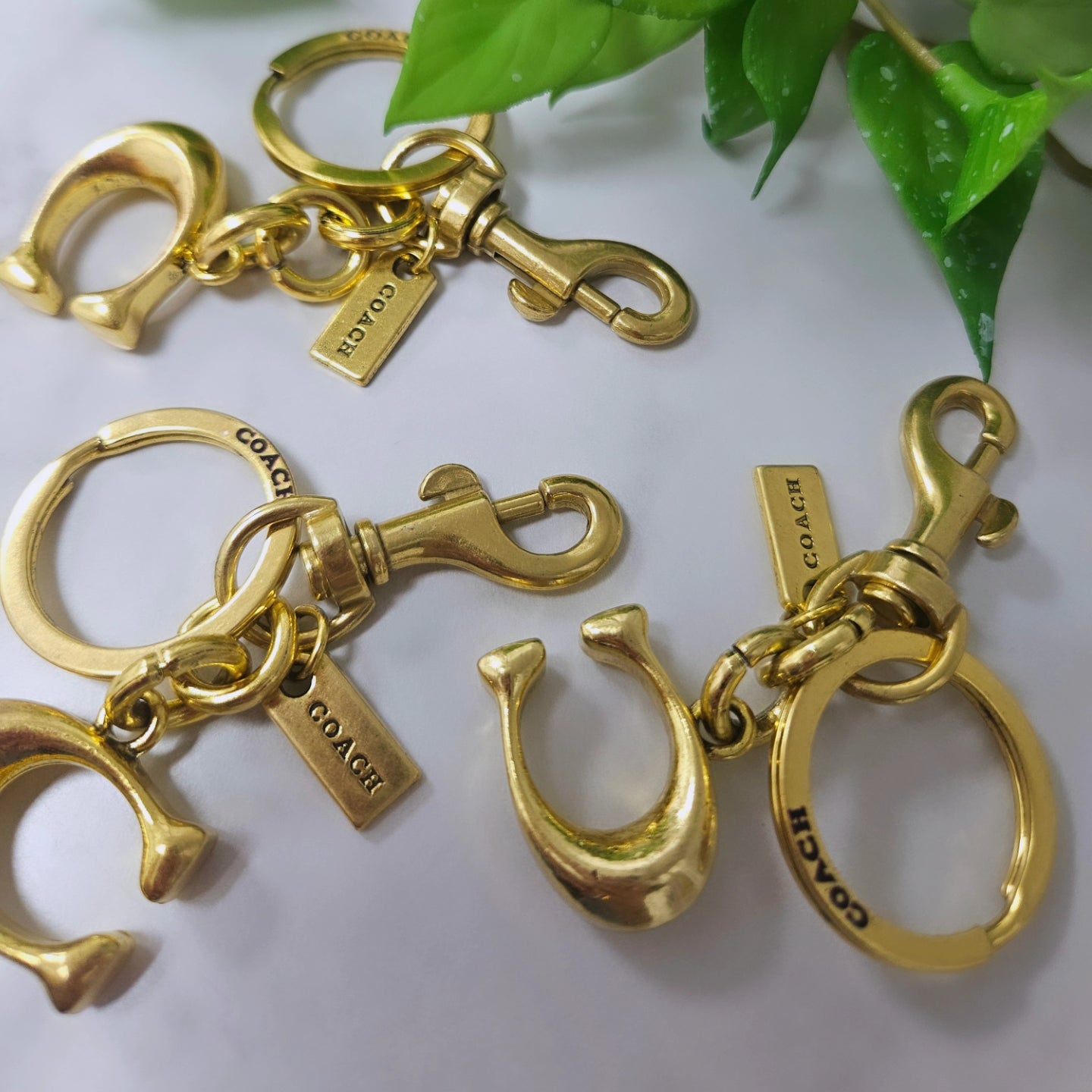 Coa - ch Keychains
