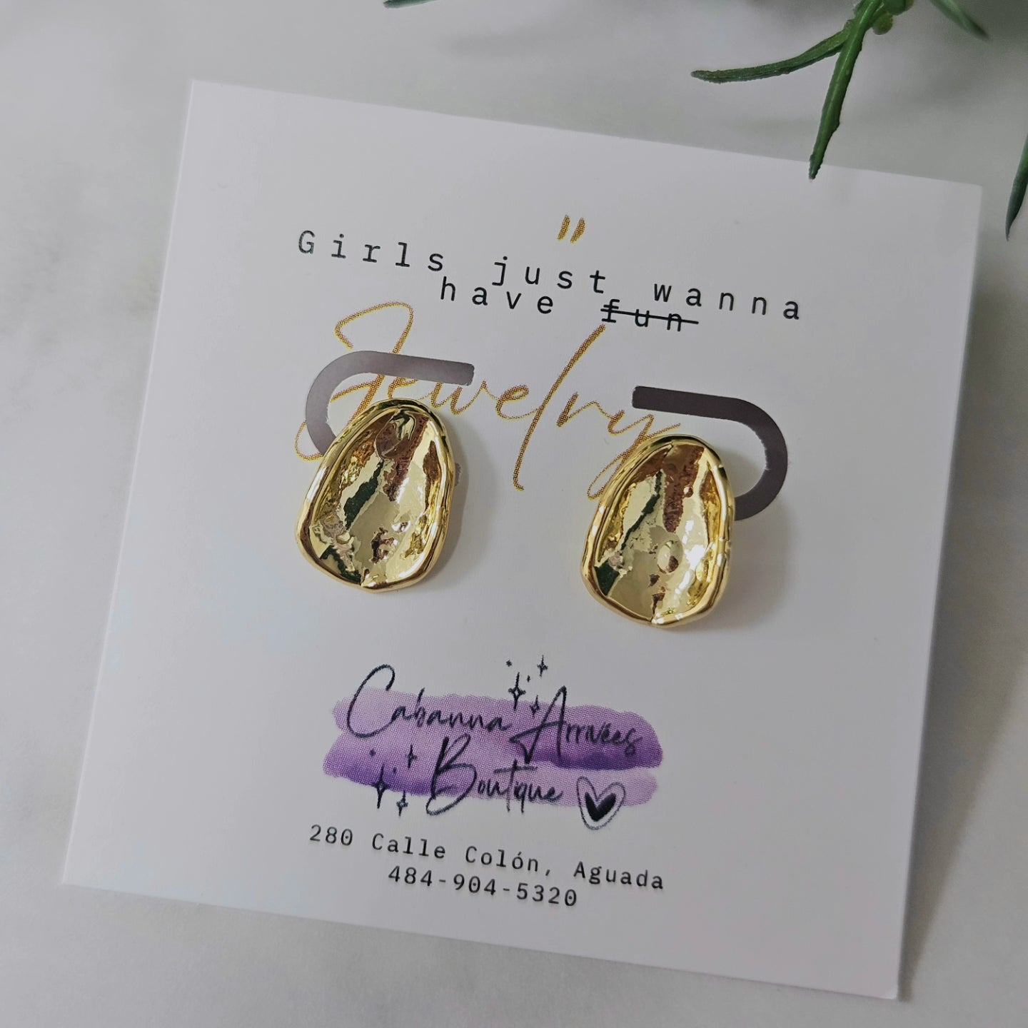 Elegance Earrings Stainless Steel